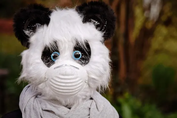 Unibet Casino Assistance